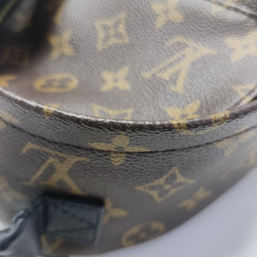 PALM SPRINGS Mini Monogram Coated Canvas Brown