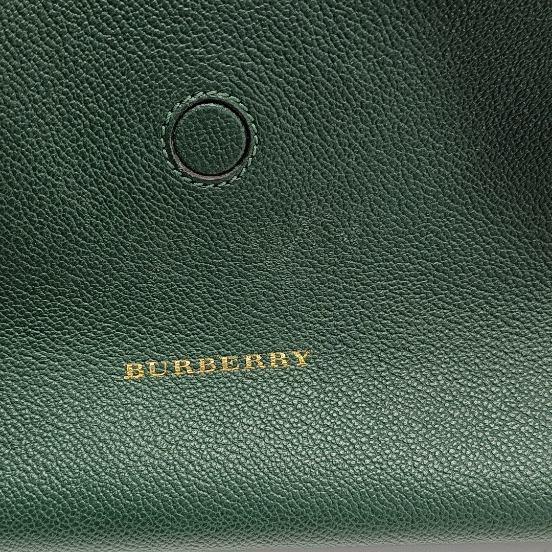 Buckle Calfskin Green