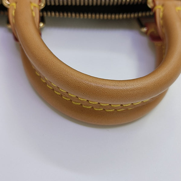 SPEEDY Nano Monogram Coated Canvas Brown