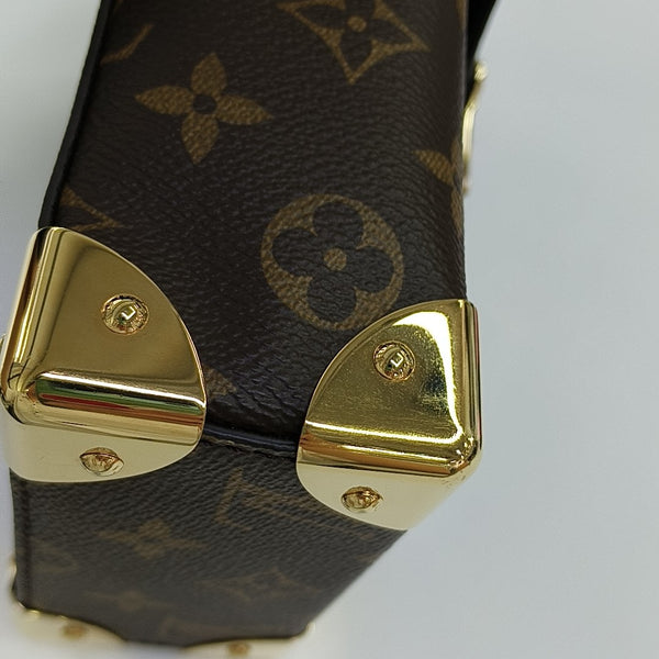CAMERA BOX Monogram Coated Canvas Brown