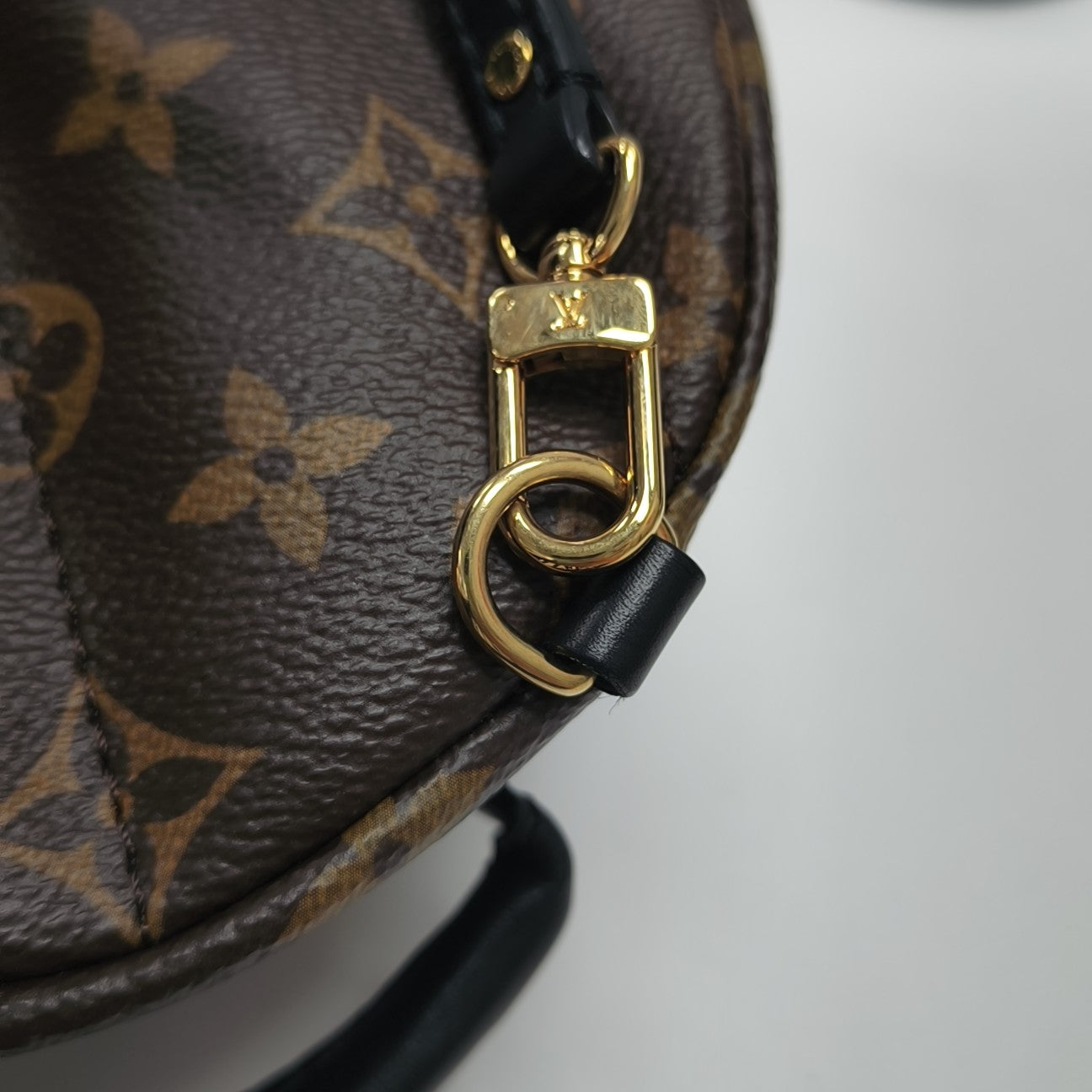 PALM SPRINGS Mini Monogram Coated Canvas Brown