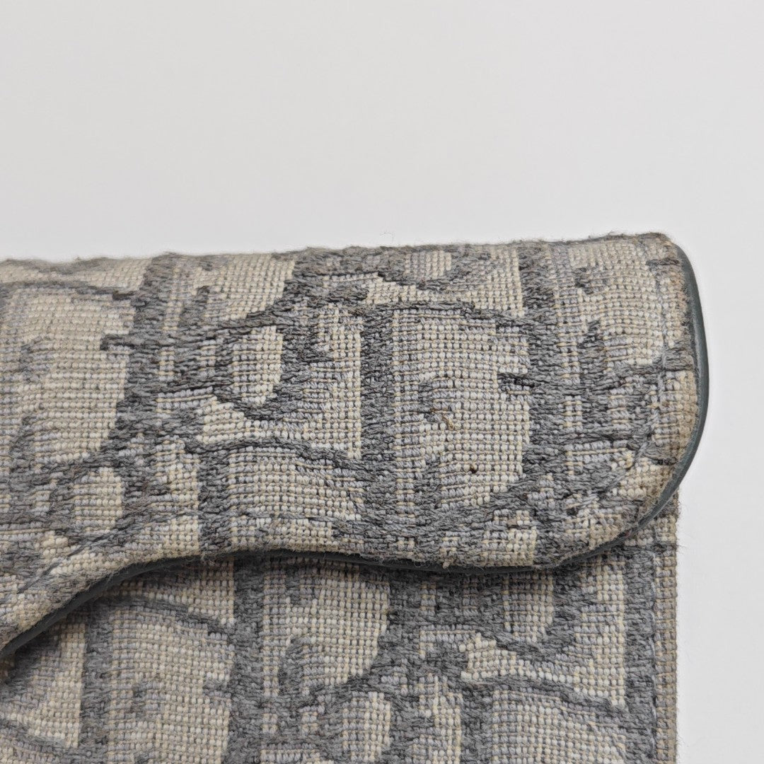 Monedero Saddle de lona Monogram gris