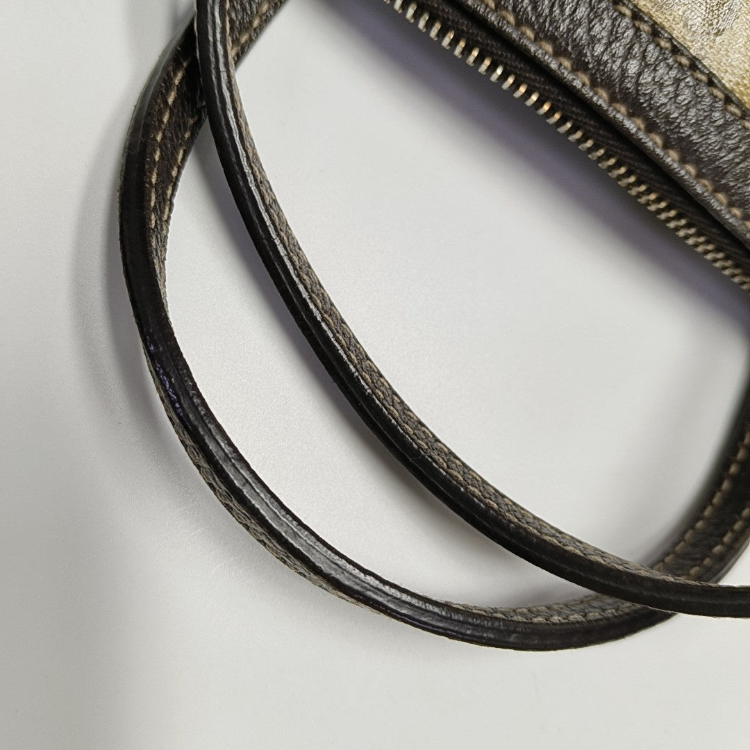 Dome Monogram Coated Canvas Brown