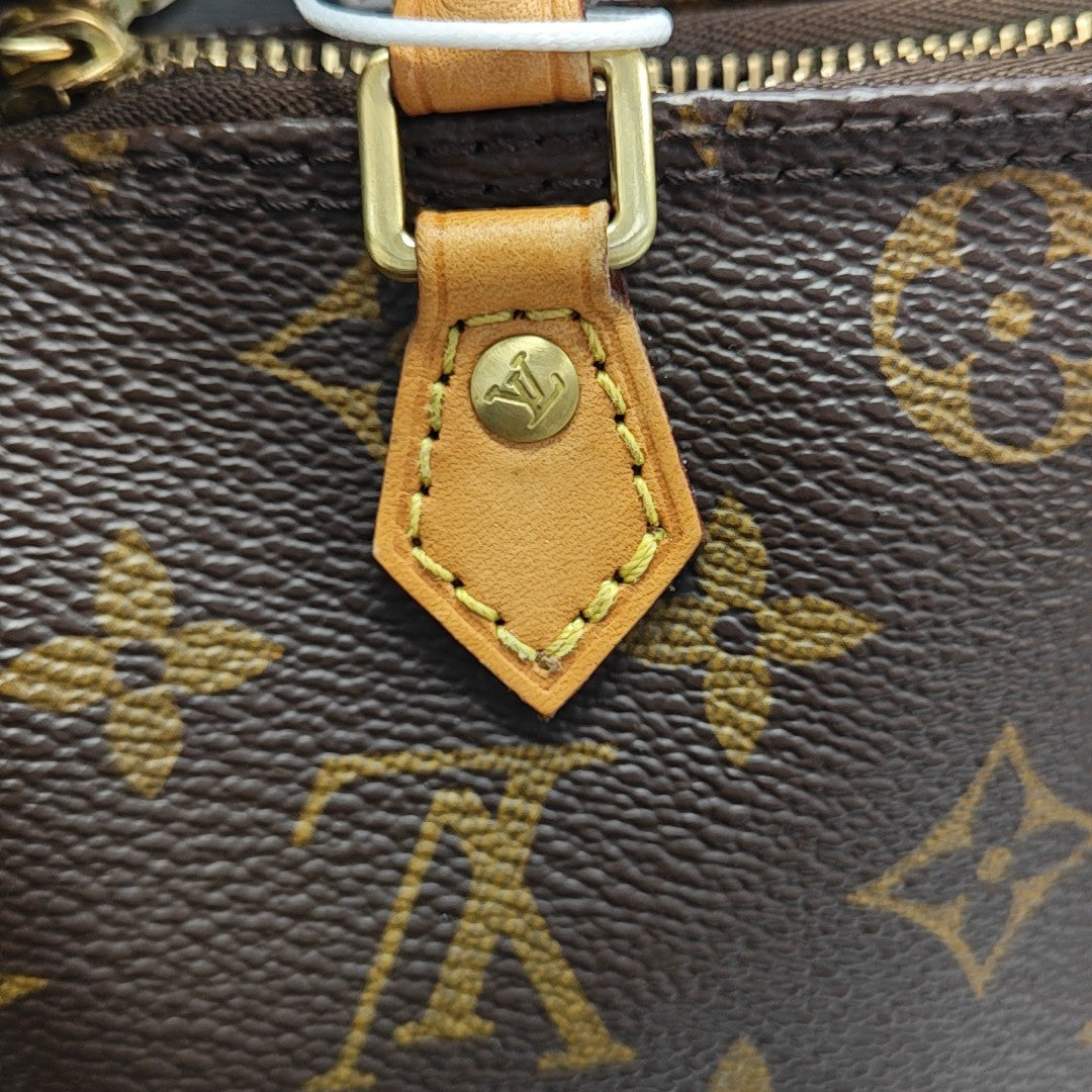 SPEEDY Nano Monogram Coated Canvas Brown