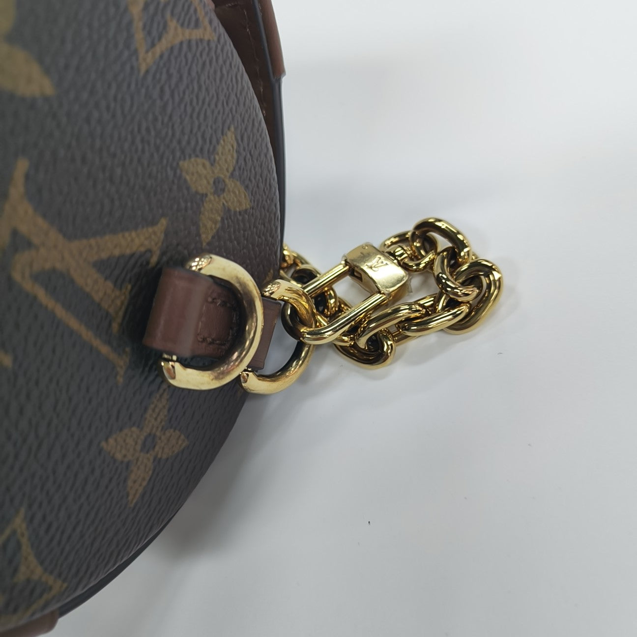 PAPILLON 19 Monogram Coated Canvas Brown