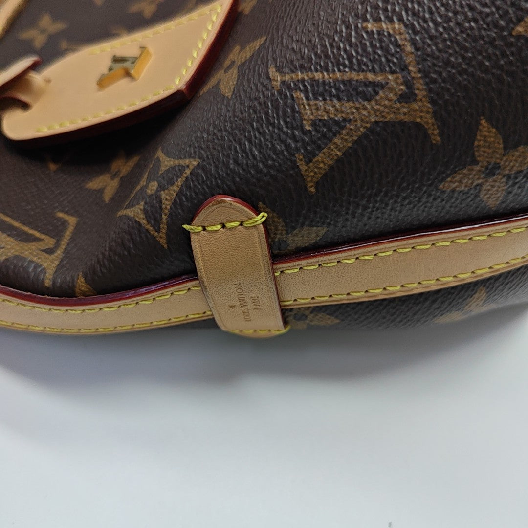 CARRYALL PM Monogram Coated Canvas Brown