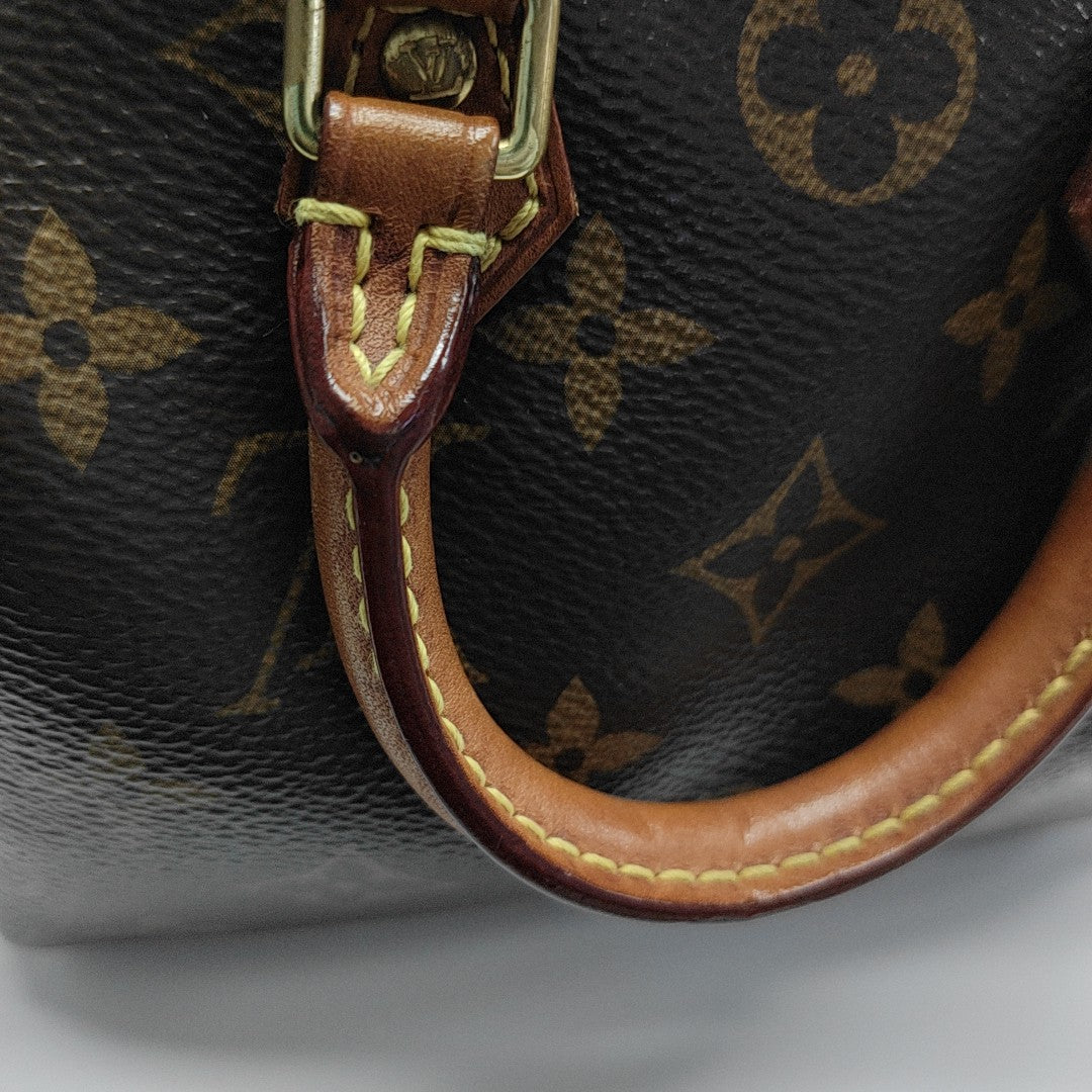 SPEEDY Nano Monogram Coated Canvas Brown