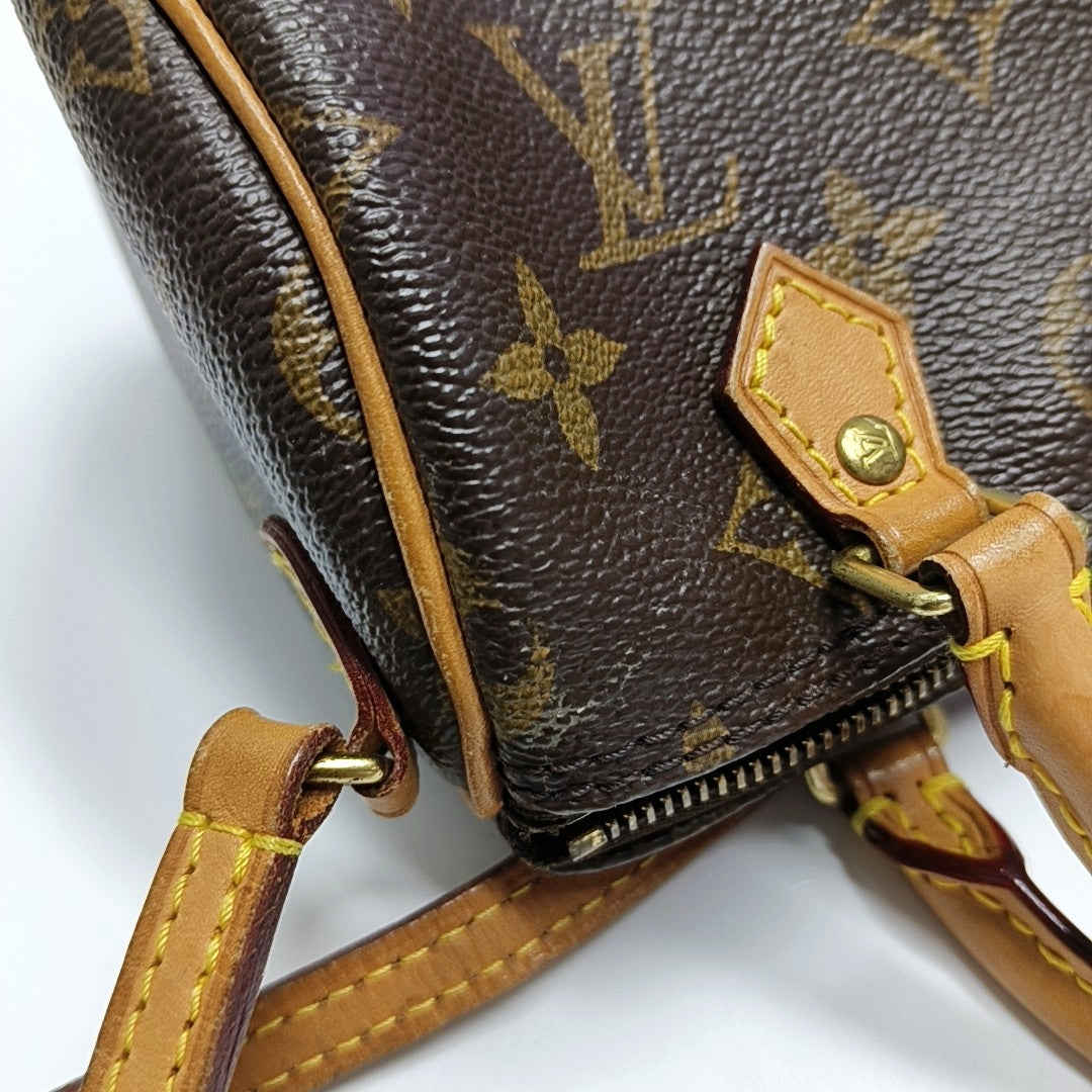 SPEEDY Nano Monogram Coated Canvas Brown