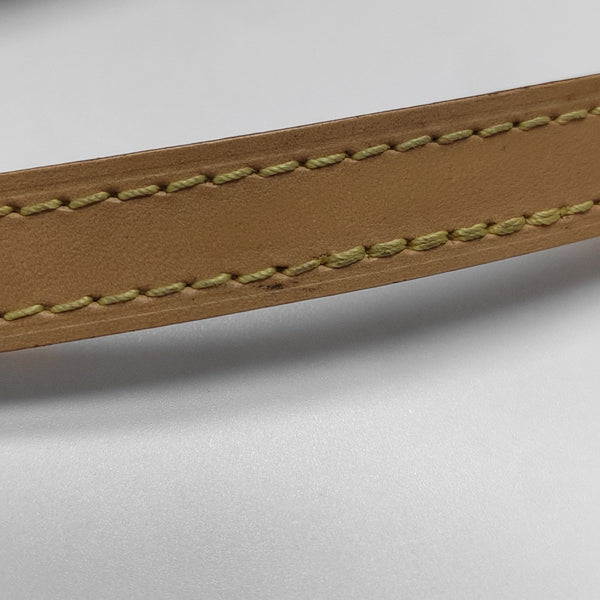 SPEEDY Nano Monogram Coated Canvas Brown
