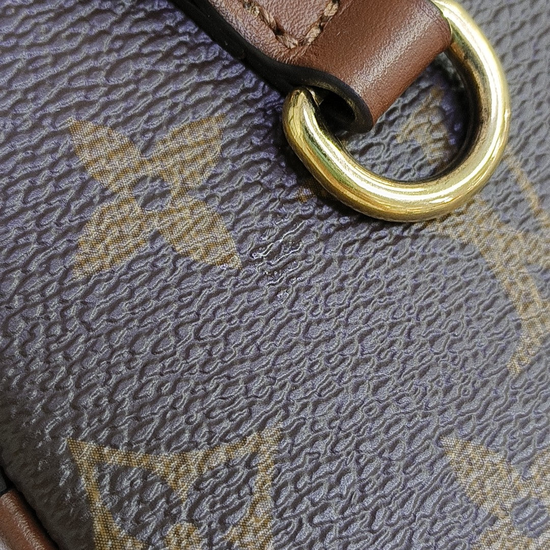 PAPILLON 19 Monogram Coated Canvas Brown