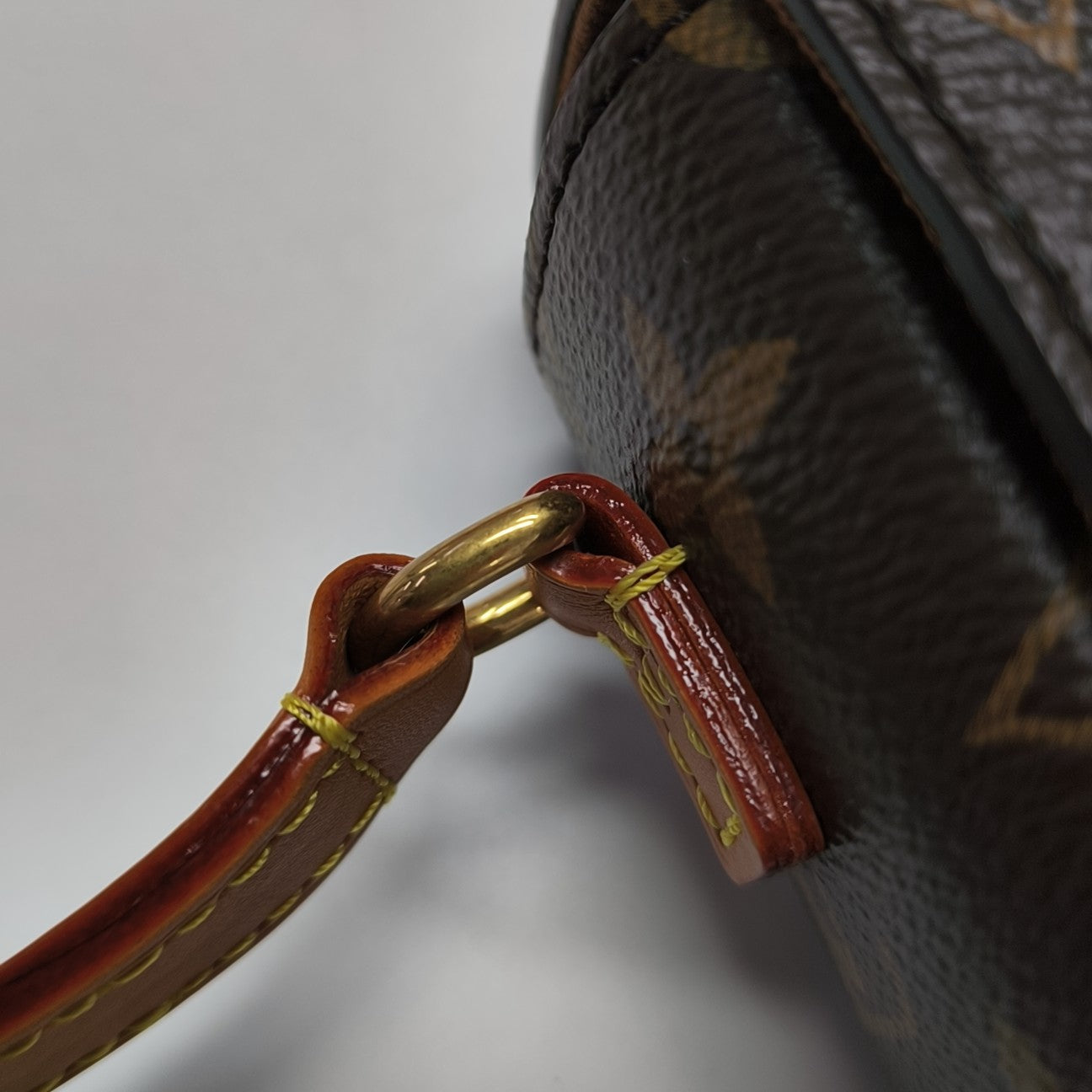 STEAMER Mini Monogram Coated Canvas Brown
