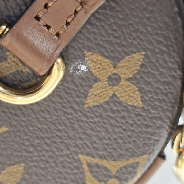 PAPILLON 19 Monogram Coated Canvas Brown