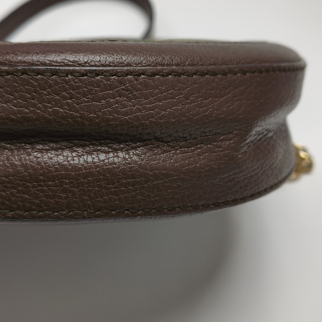 Ophidia Mini Monogram Coated Canvas Beige