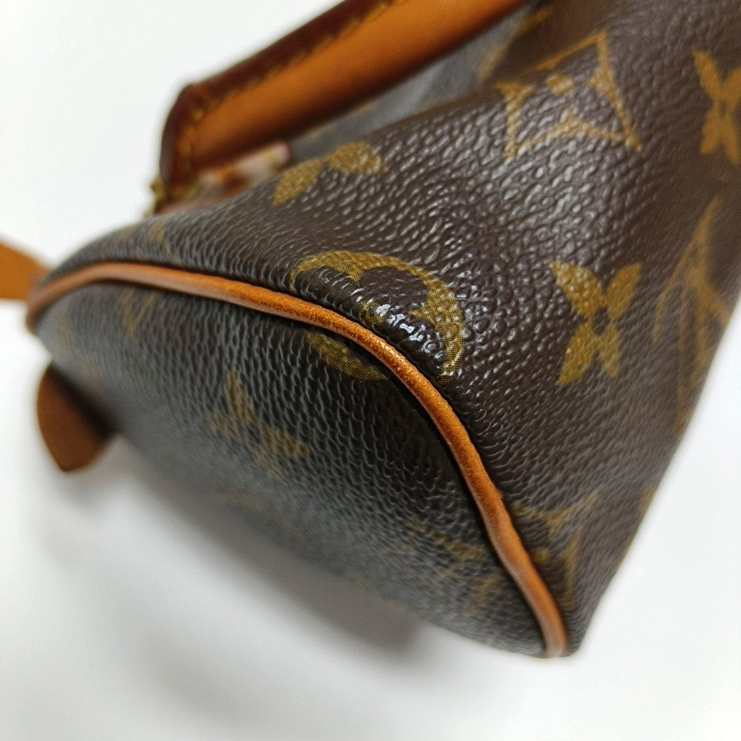 SPEEDY Nano Monogram Coated Canvas Brown