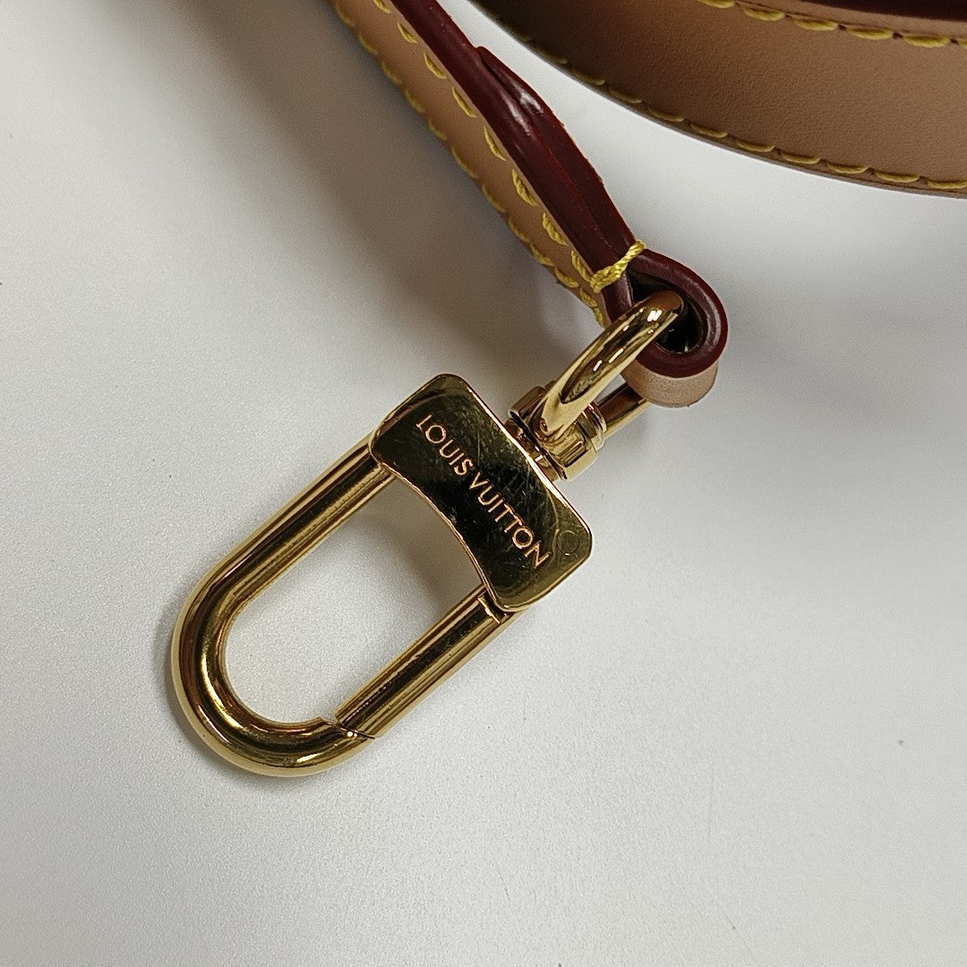 ODEON PM Monogram Coated Canvas Brown