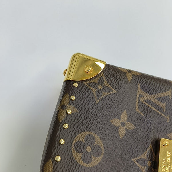CAMERA BOX Monogram Coated Canvas Brown