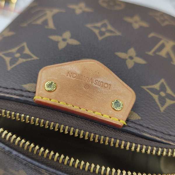 JUST IN CASE Monogram Coated Canvas Brown