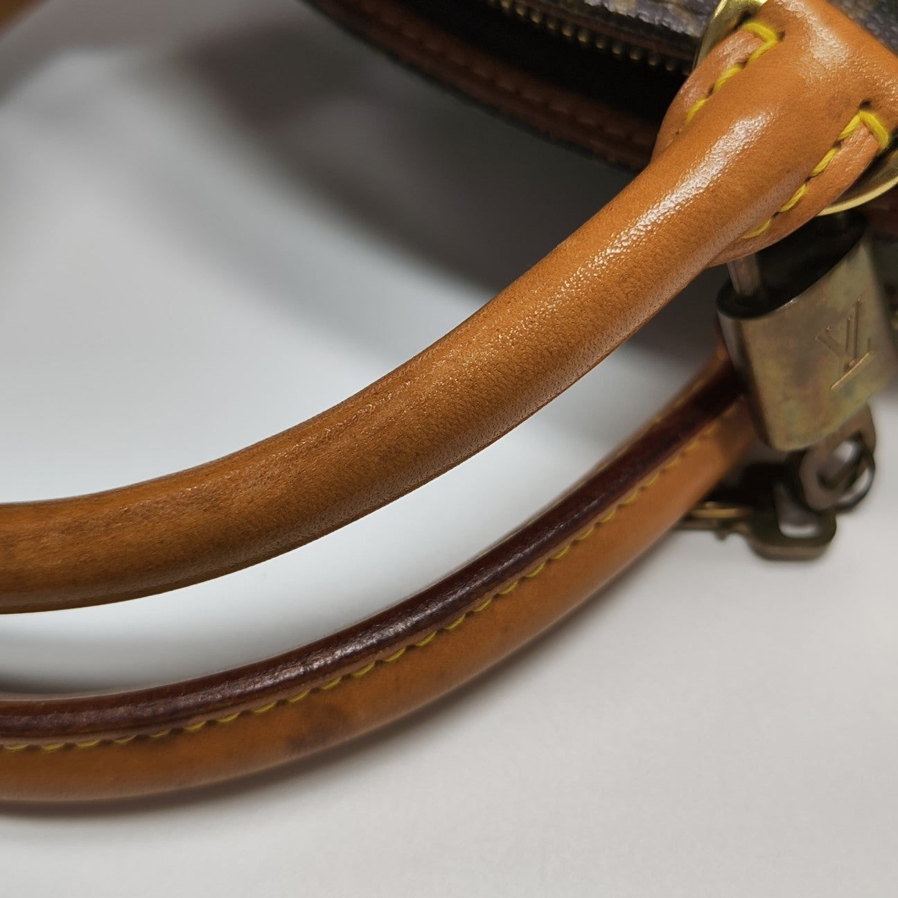 ELLIPSE Monogram Coated Canvas Brown