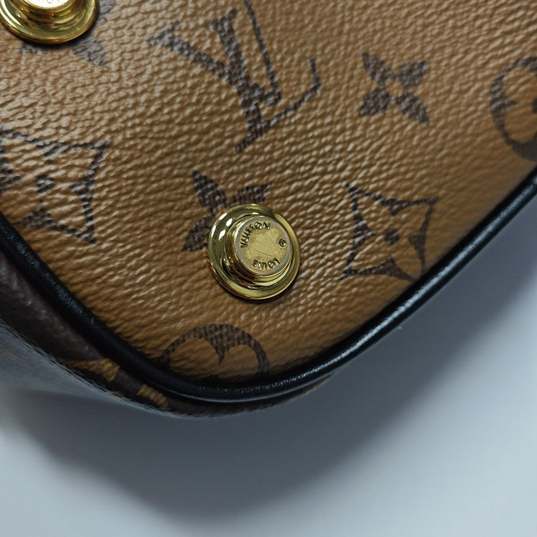 VANITY PM Monogram Coated Canvas Brown
