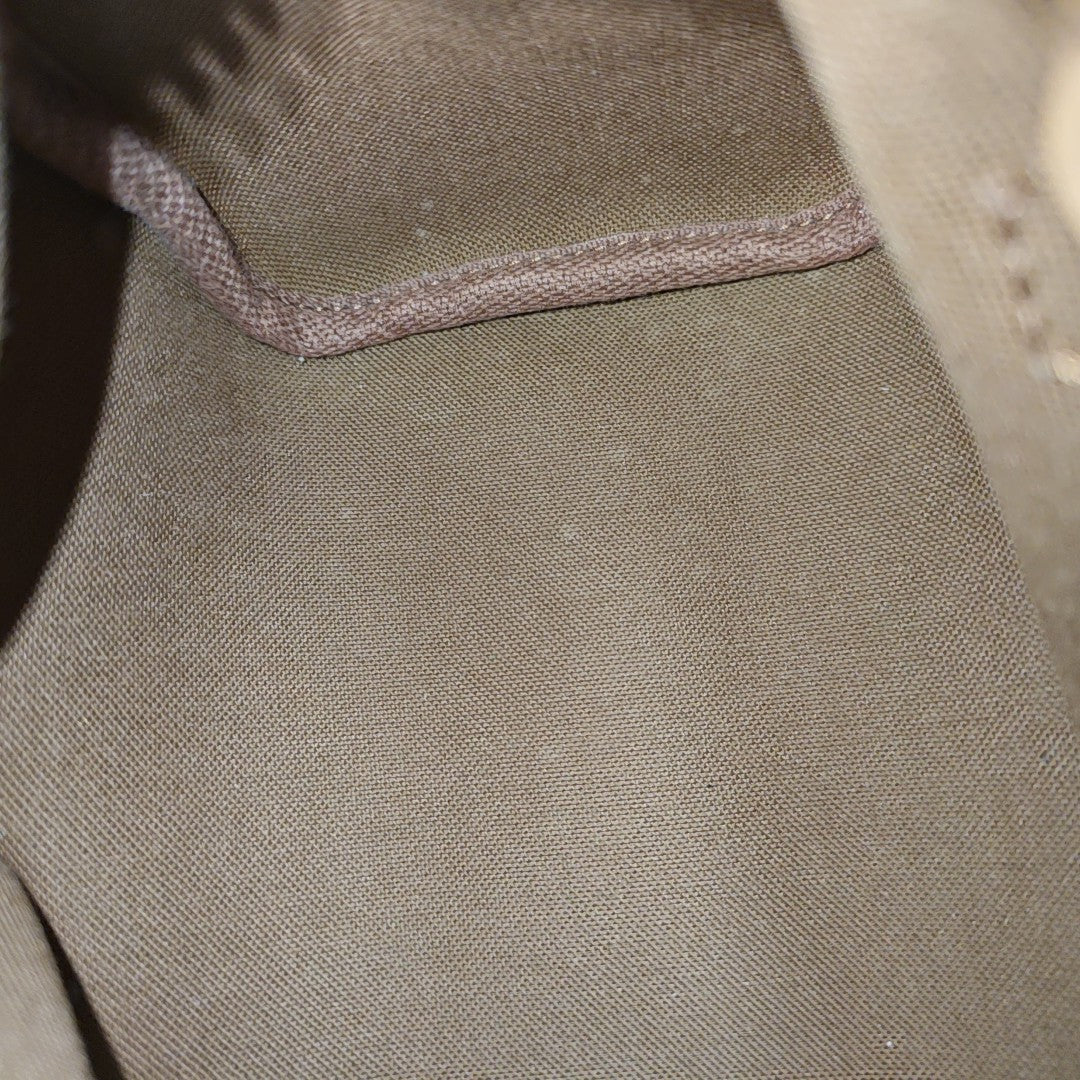 SPEEDY Nano Monogram Coated Canvas Brown