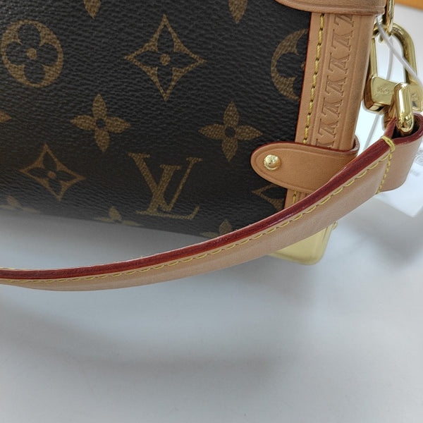 SIDE TRUNK PM Monogram Coated Canvas Brown