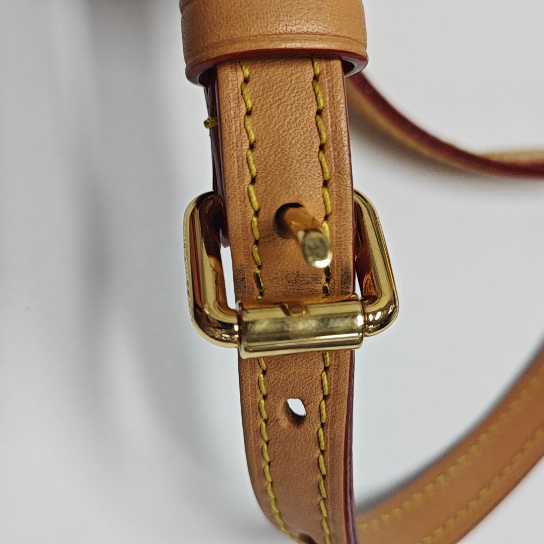 SIDE TRUNK PM Monogram Coated Canvas Brown