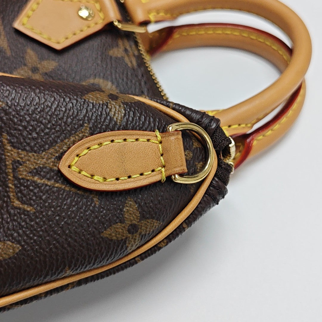 SPEEDY Nano Monogram Coated Canvas Brown