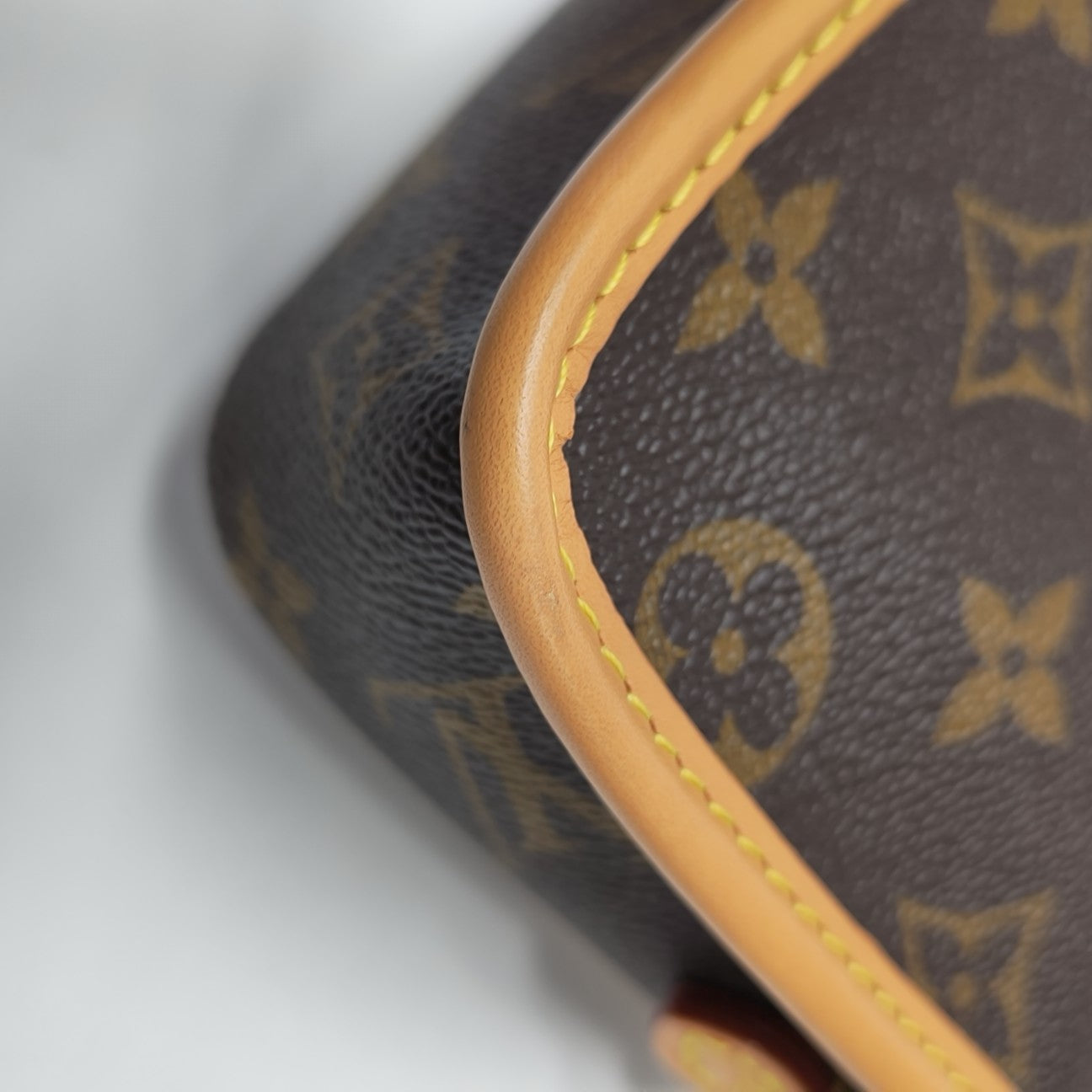 DIANE Nano Monogram Coated Canvas Brown