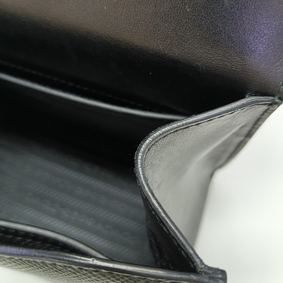 Monochrome Saffiano Calfskin Black