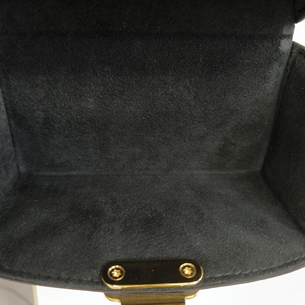 CAMERA BOX Monogram Coated Canvas Brown