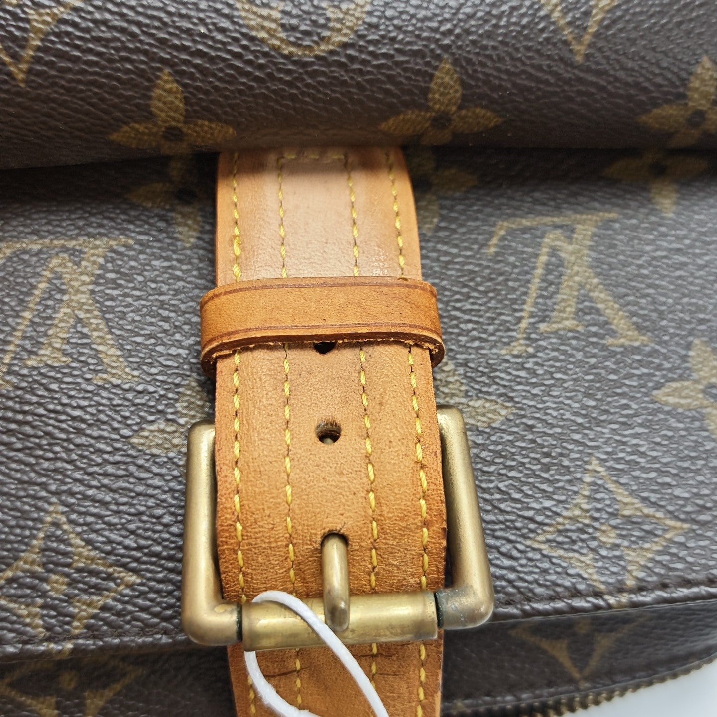 MULTIPLE Monogram Coated Canvas Brown