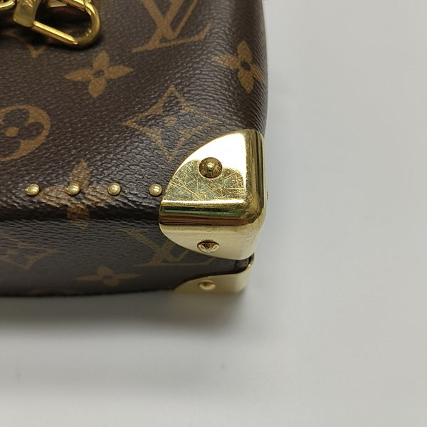 CAMERA BOX Monogram Coated Canvas Brown