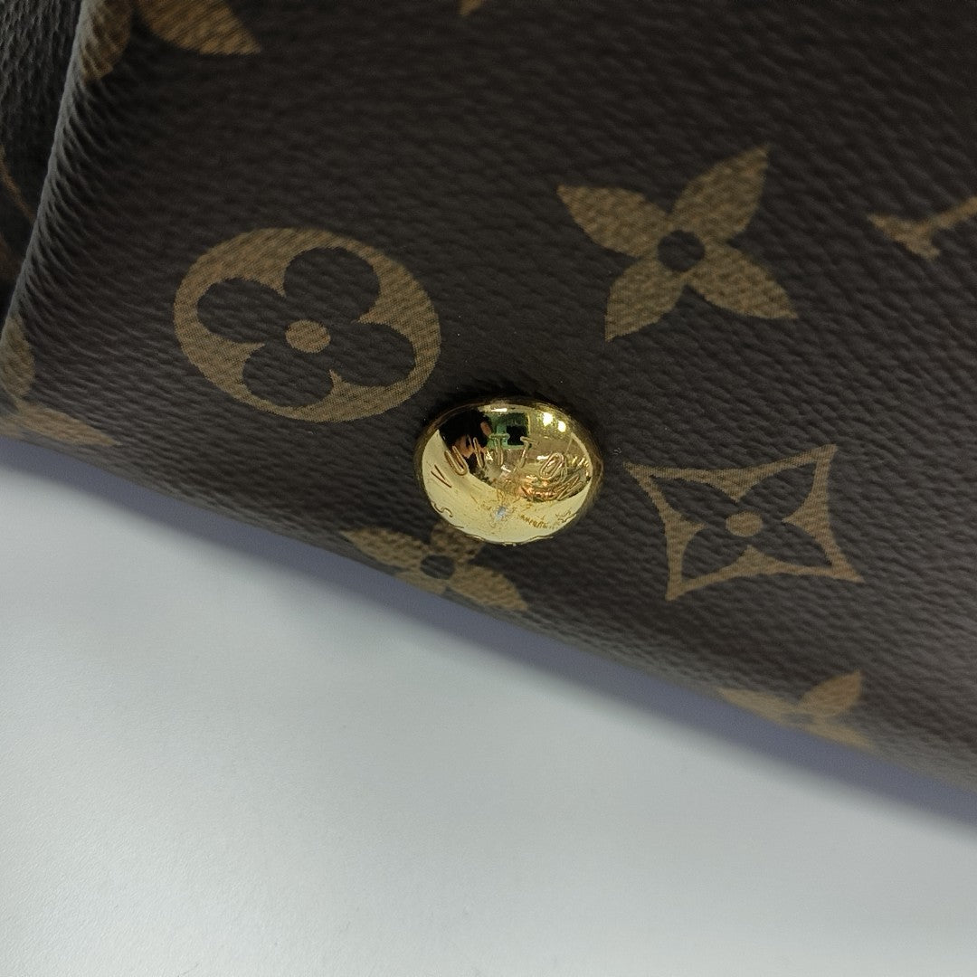 CARRYALL PM Monogram Coated Canvas Brown