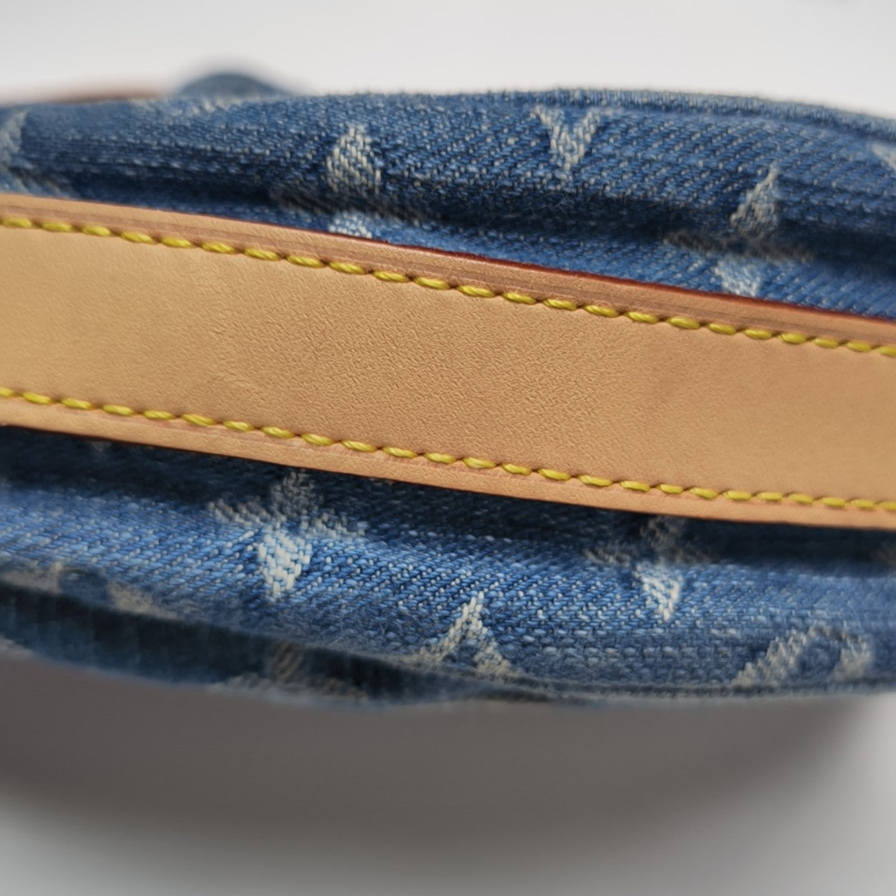CROISSANT PM Monogram Canvas Blue