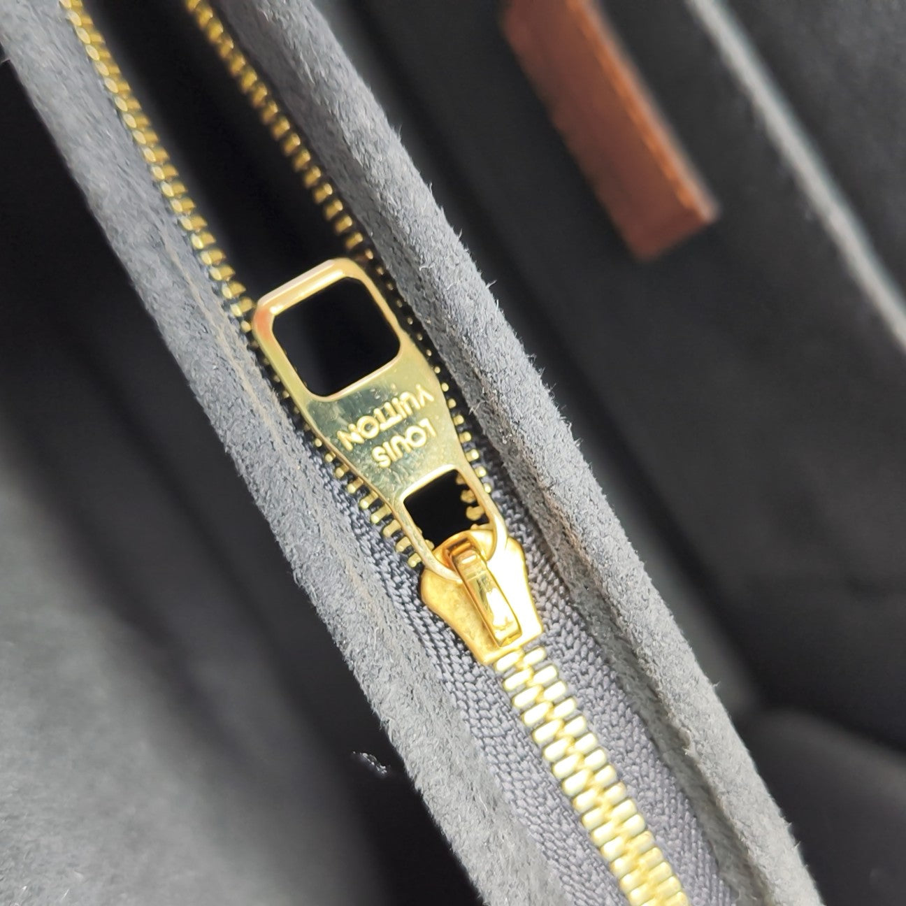 DAUPHINE MM Monogram Coated Canvas Brown