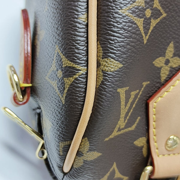 SPEEDY 20 Monogram Coated Canvas Brown