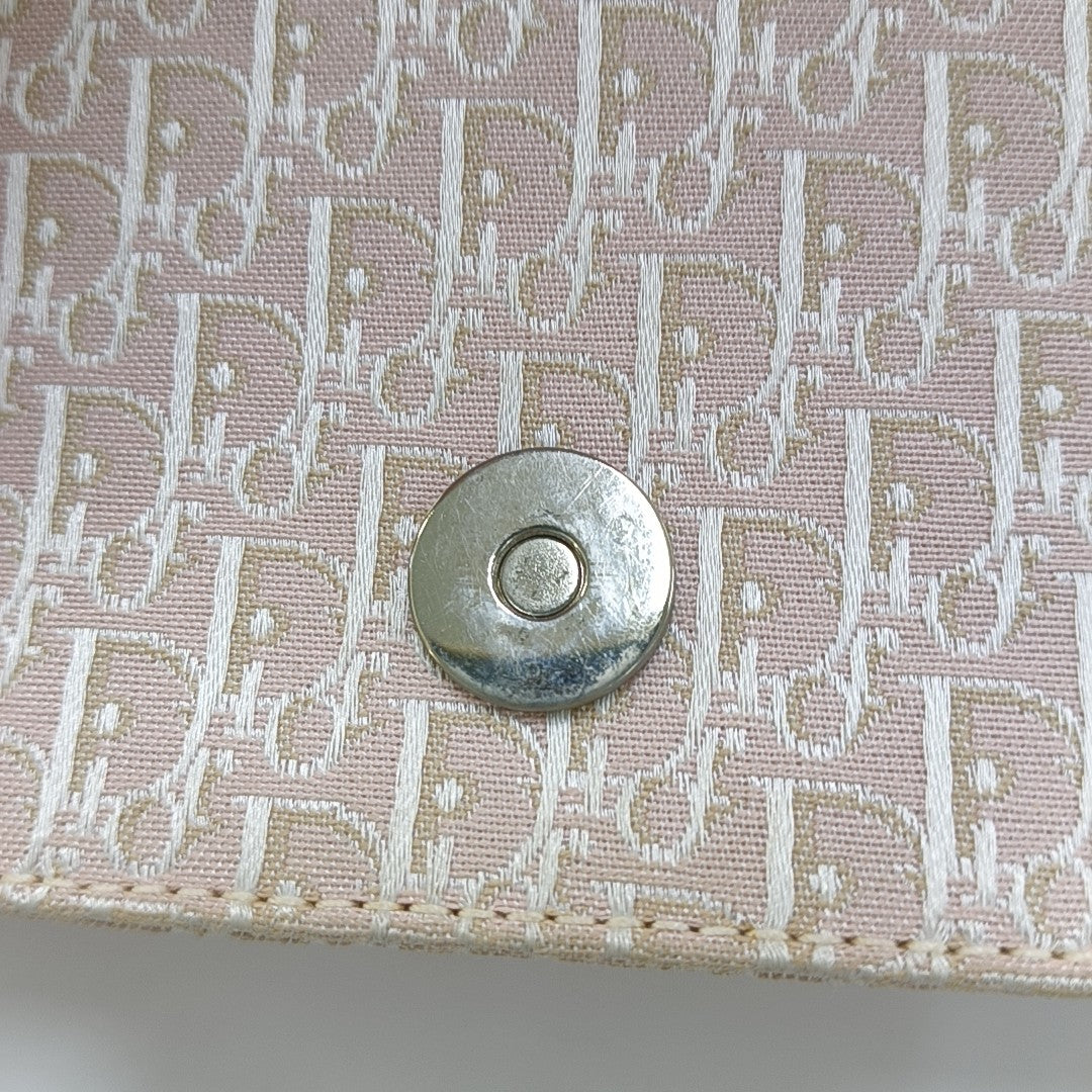 Oblique Canvas Pink