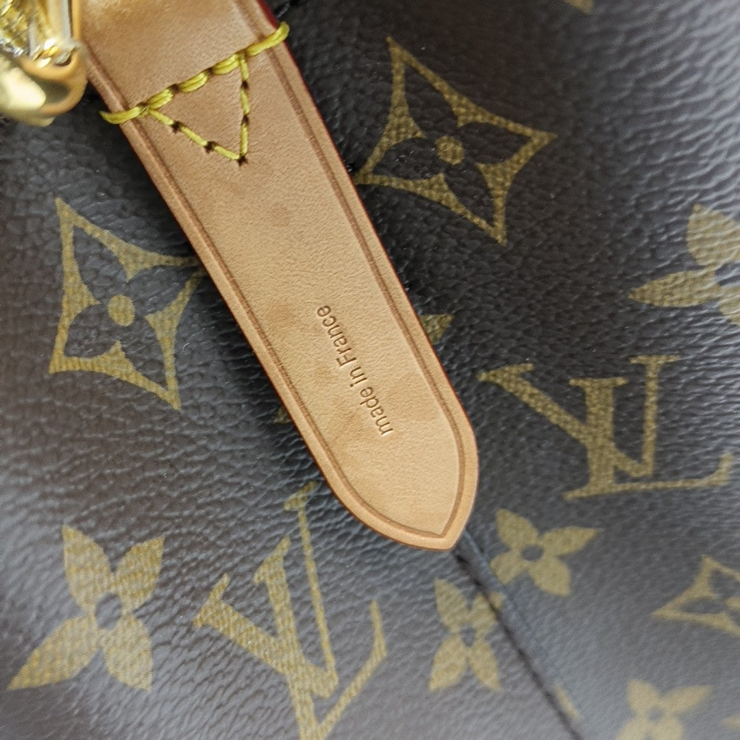 NÉONOÉ BB Monogram Coated Canvas Brown