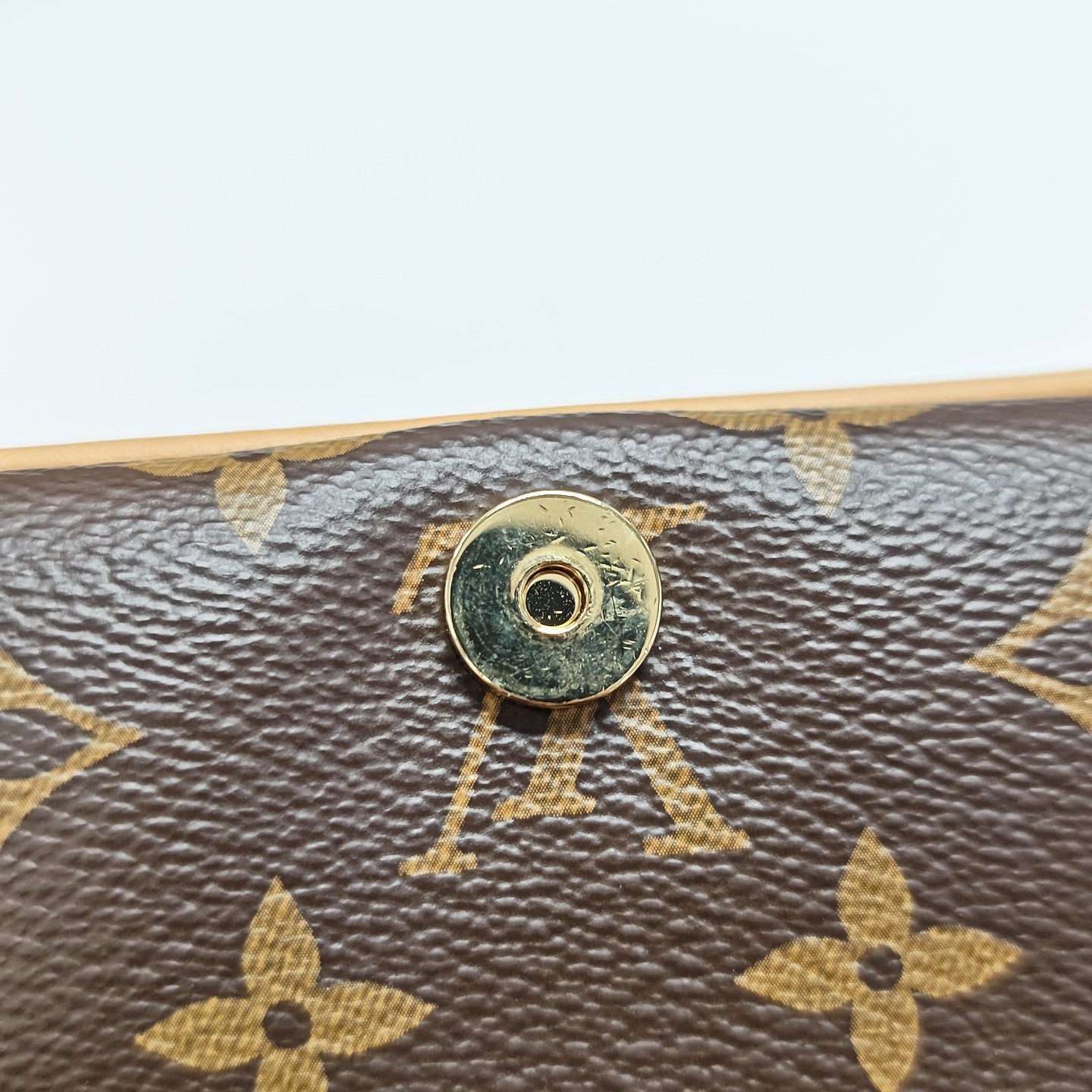 DIANE Monogram Coated Canvas Brown