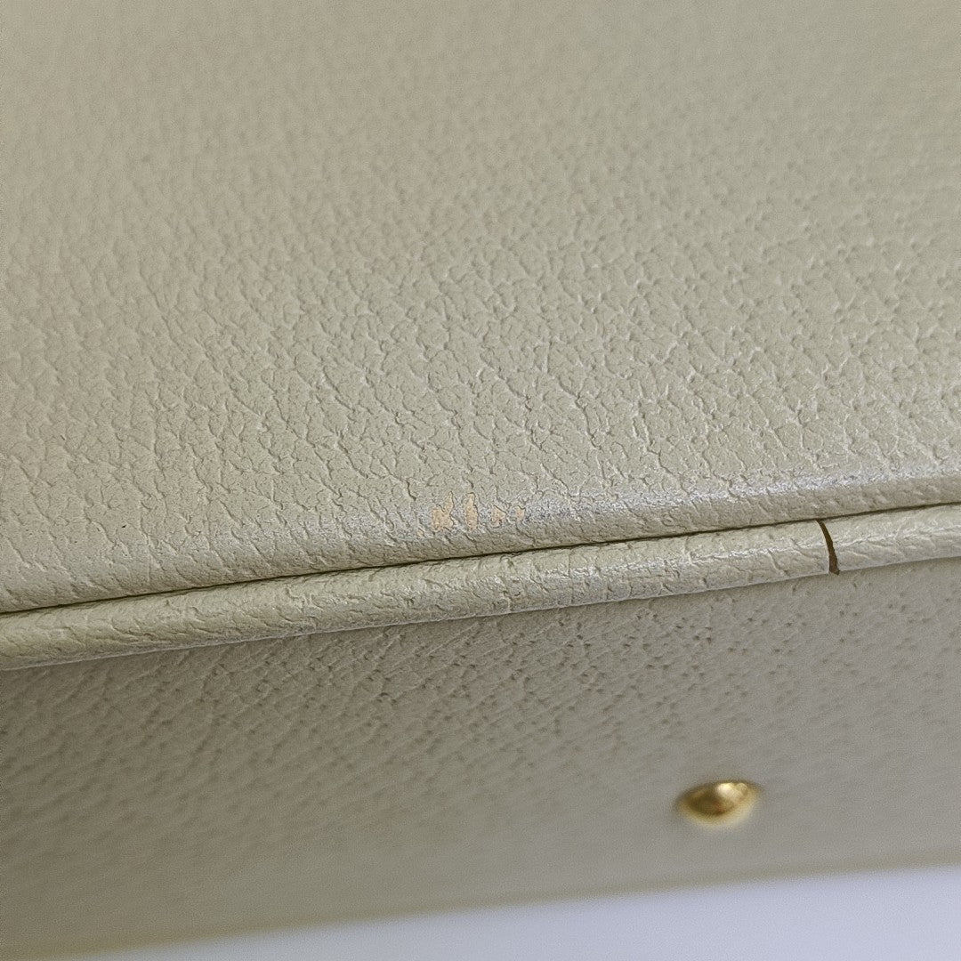 Diana Mini Calfskin White