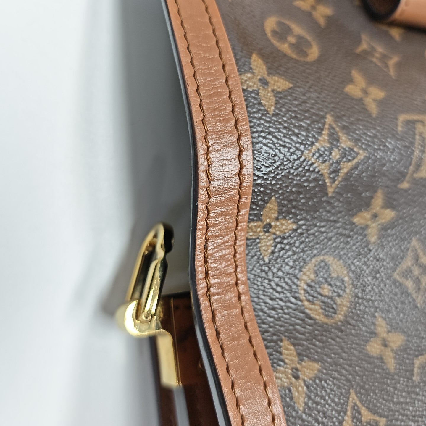 DAUPHINE MM Monogram Coated Canvas Brown