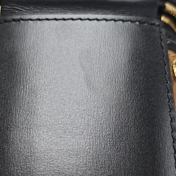 CANNES PM Monogram Coated Canvas Brown
