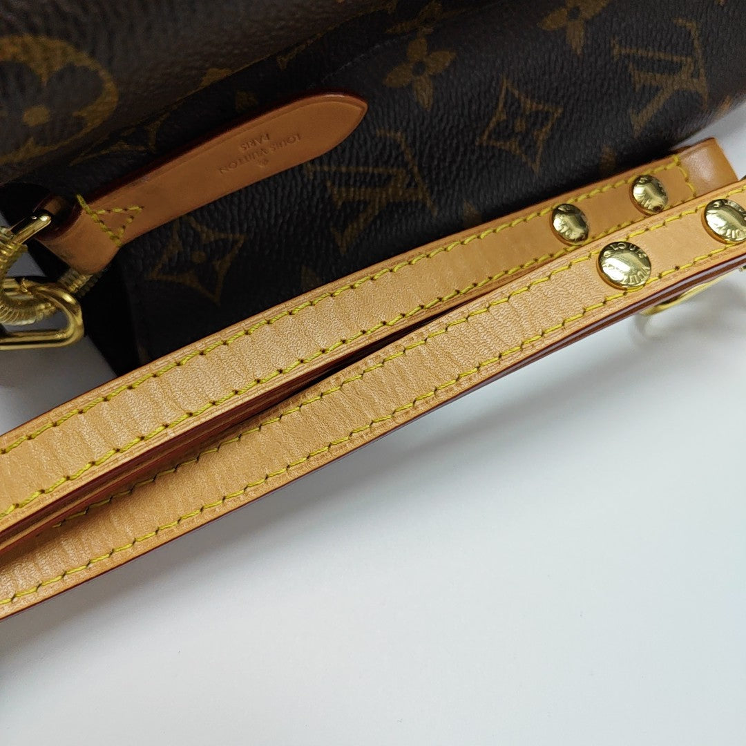 NÉONOÉ BB Monogram Coated Canvas Brown
