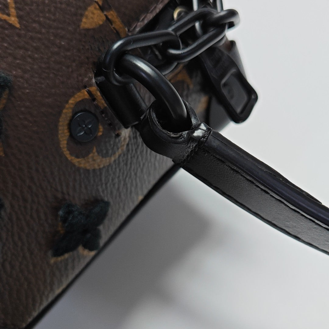 SOFT TRUNK Mini Monogram Coated Canvas Brown
