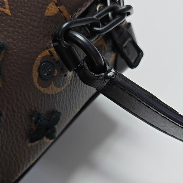 SOFT TRUNK Mini Monogram Coated Canvas Brown
