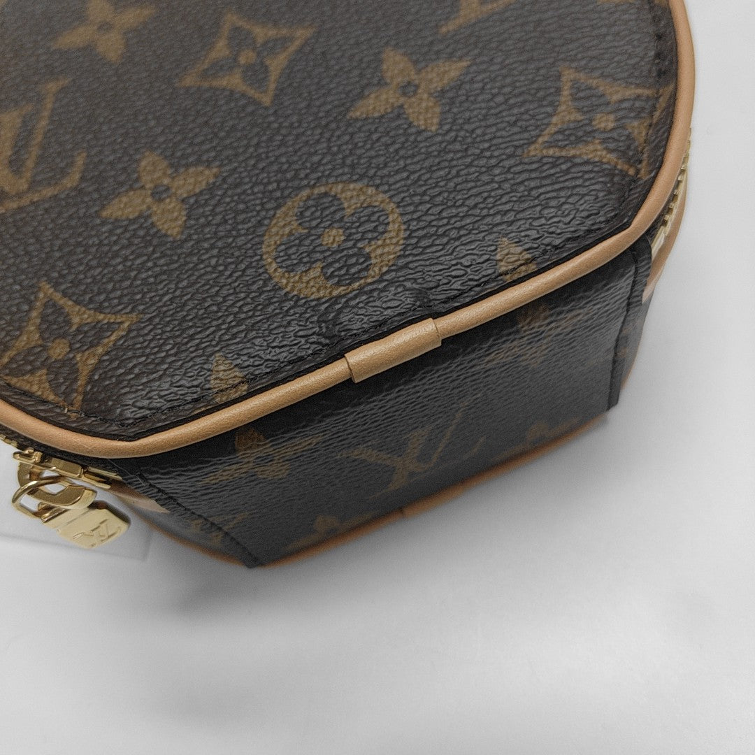 BOITE CHAPEAU Mini Monogram Coated Canvas Brown