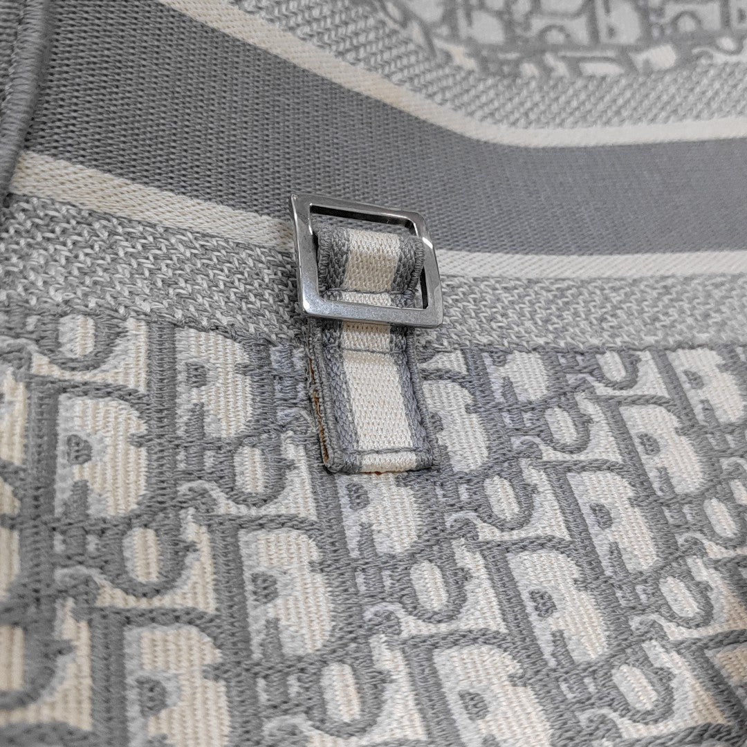 Diorcamp Large Oblique Canvas Gray