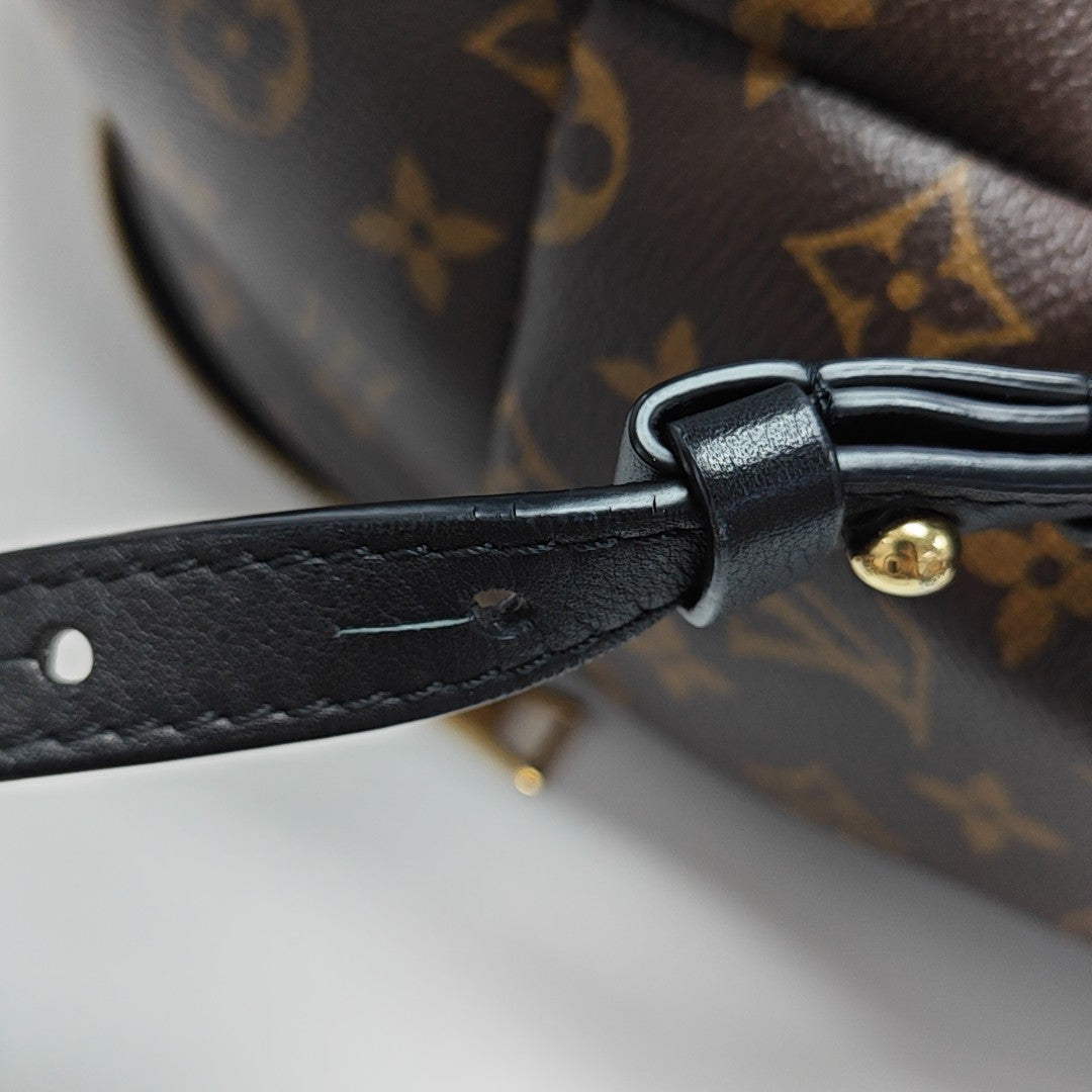 Monogram Coated Canvas Backpack Brown