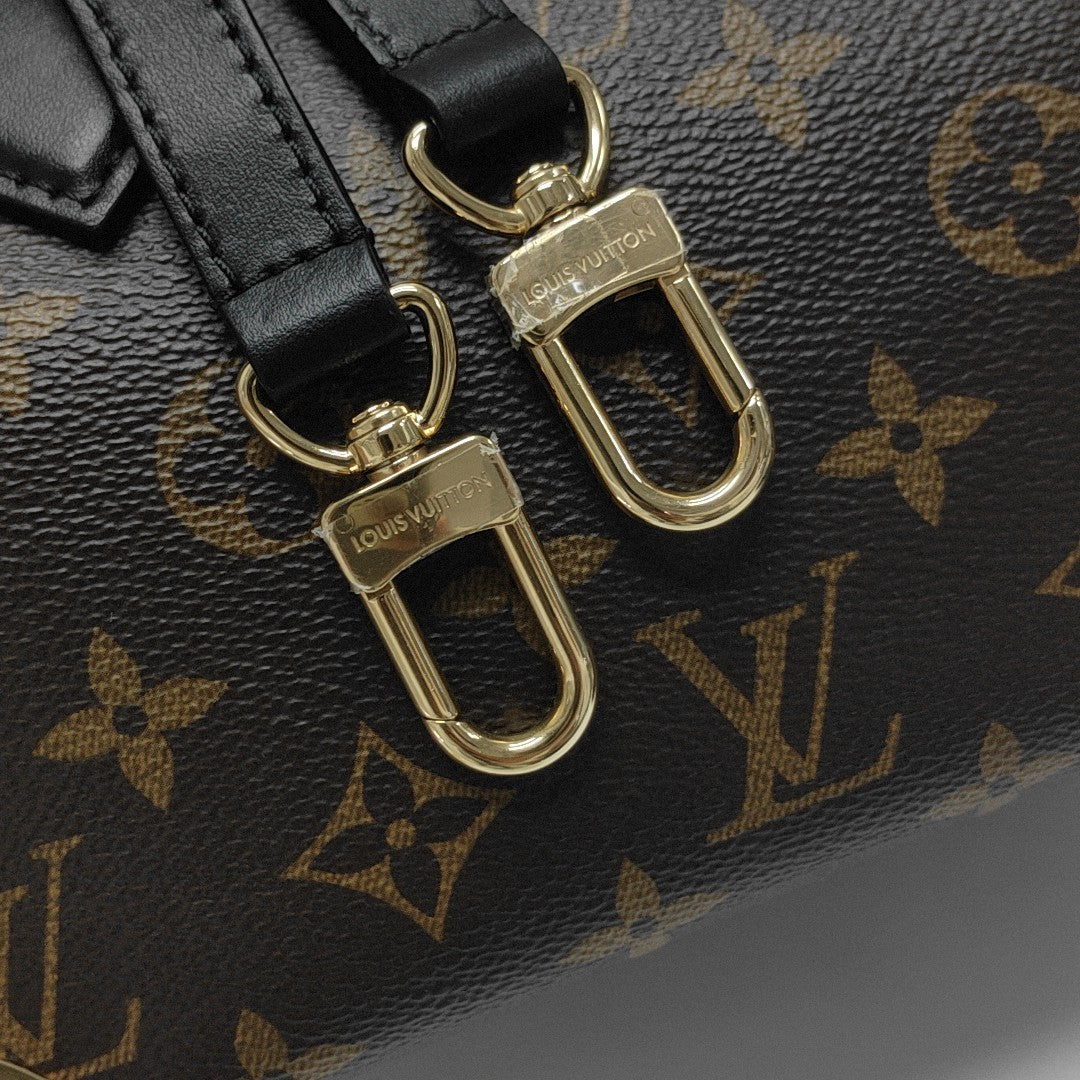SPEEDY TRUNK 20 Monogram Coated Canvas Brown