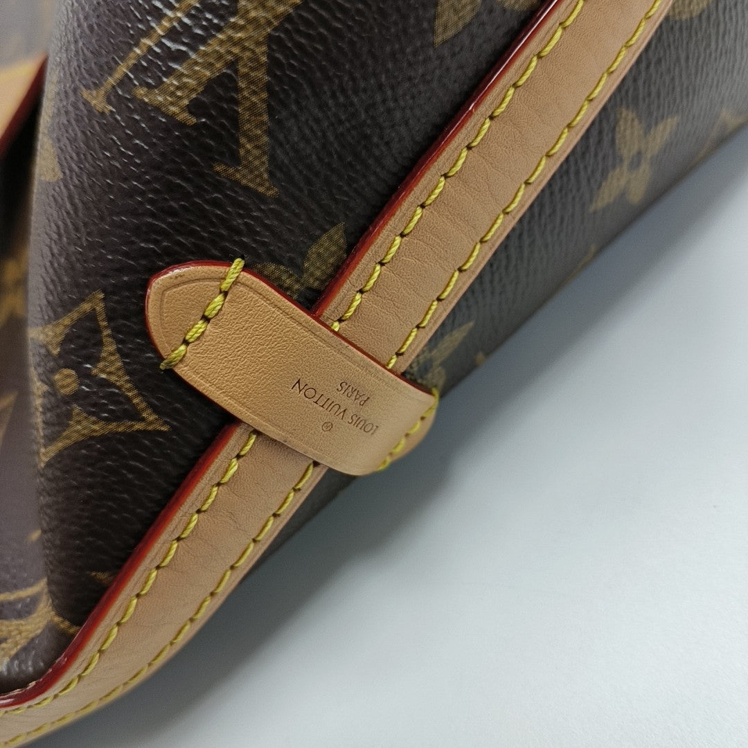 CARRYALL PM Monogram Coated Canvas Brown